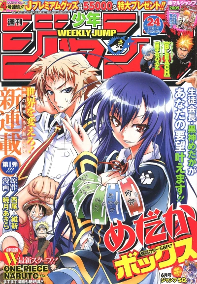 Cover of No. 24, 2009