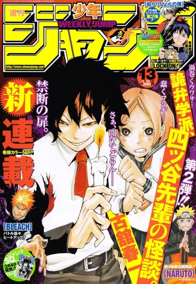 Cover of No. 13, 2010