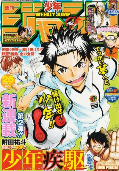 Cover of No. 25, 2010