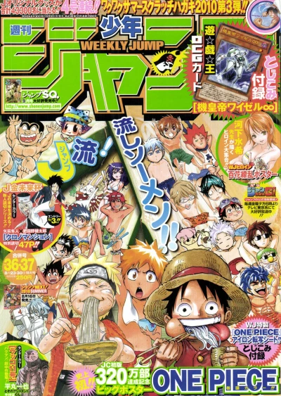 Cover of No. 36-37, 2010