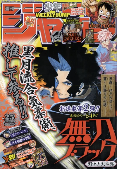 Cover of No. 25, 2013