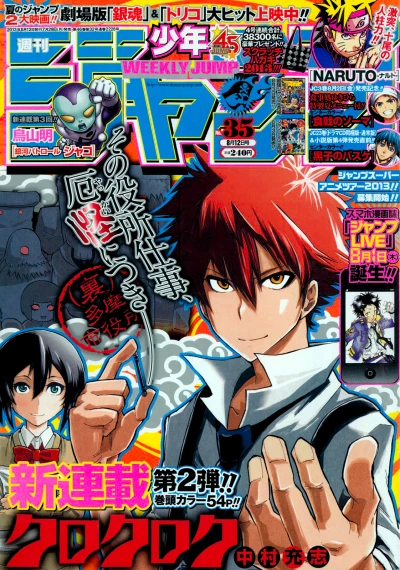 Cover of No. 35, 2013