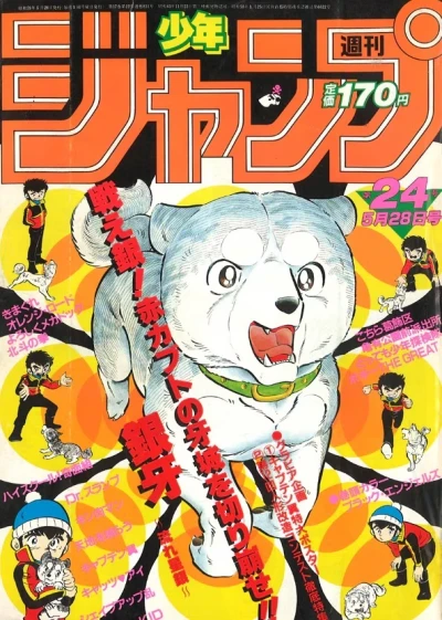 Cover of No. 24, 1984