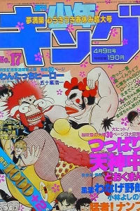 No. 17, 1982