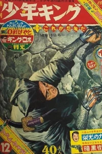 No. 12, 1963