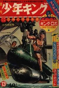 No. 13, 1963