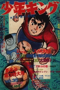 No. 35, 1970