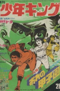No. 28, 1972