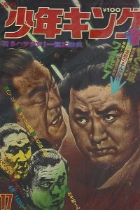 No. 17, 1973