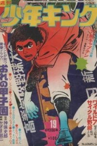 No. 19, 1973