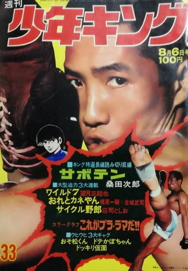 Cover of No. 33, 1973