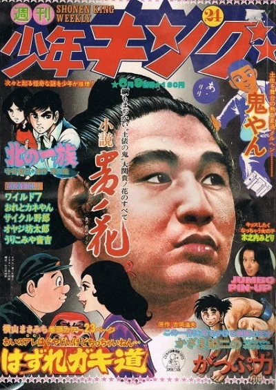 Cover of No. 24, 1975