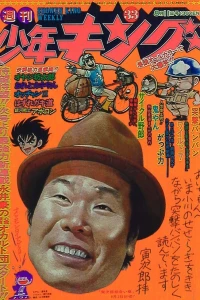 No. 33, 1975