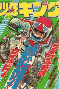 No. 33, 1976