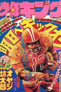 No. 35, 1976