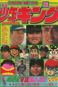 No. 19, 1977