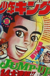 No. 31, 1977