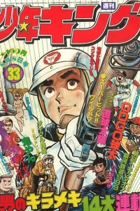 No. 33, 1977