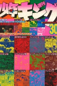 No. 30, 1978