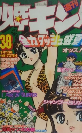 Cover of No. 38, 1978