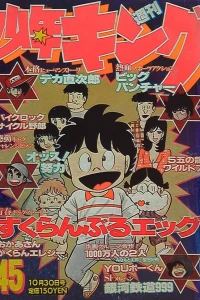 No. 45, 1978