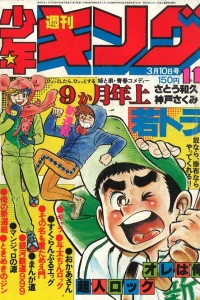 No. 11, 1980