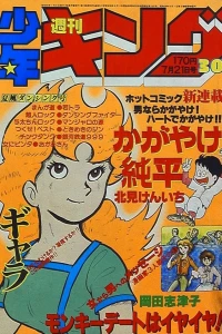 No. 30, 1980