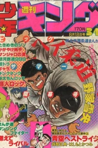 No. 34, 1980