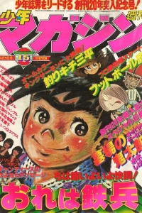 No. 15, 1978