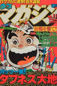 No. 11, 1980