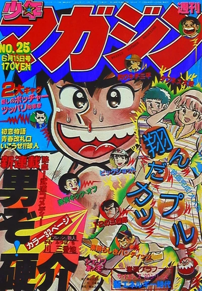 Cover of No. 25, 1980