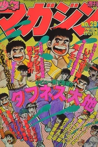No. 29, 1980
