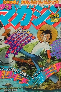 No. 45, 1980