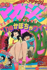 No. 17, 1981