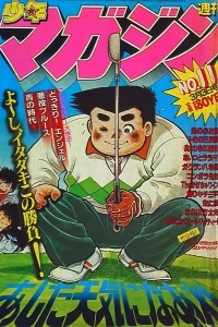 No. 11, 1982