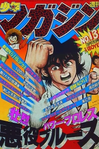 No. 13, 1982