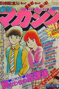 No. 17, 1982