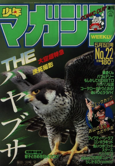 Cover of No. 22, 1985