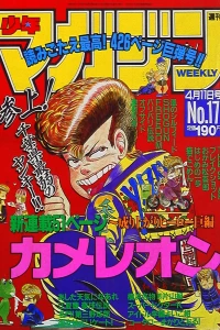 No. 17, 1990