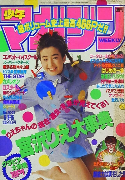 Cover of No. 20-21, 1991
