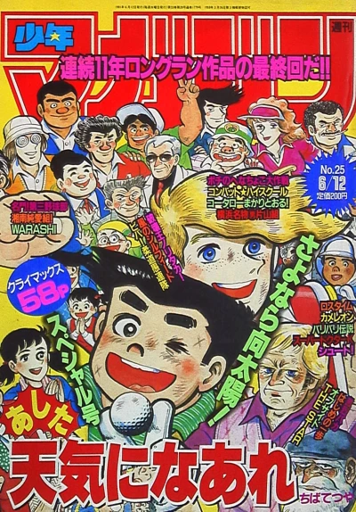 Cover of No. 25, 1991