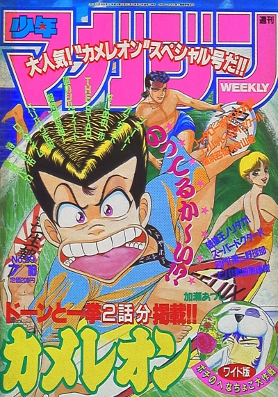Cover of No. 29, 1991