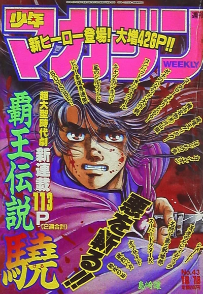 Cover of No. 43, 1991