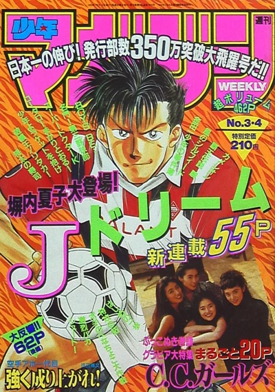 Cover of No. 3-4, 1993