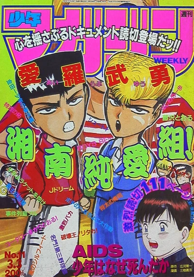 Cover of No. 11, 1993