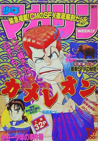 Cover of No. 13, 1993