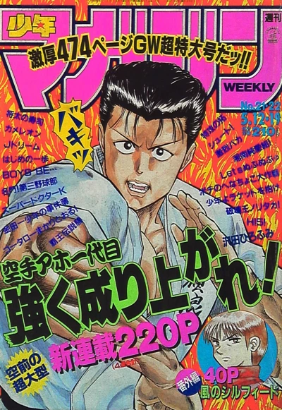 Cover of No. 21-22, 1993