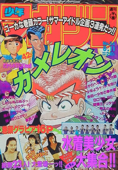Cover of No. 34, 1993