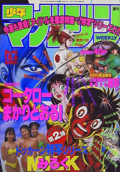 Cover of No. 42, 1993
