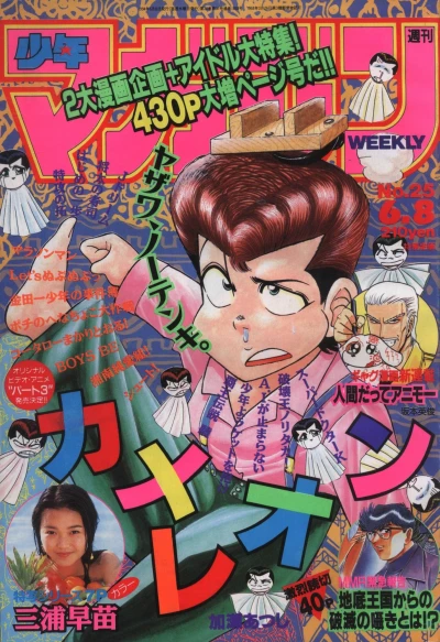 Cover of No. 25, 1994